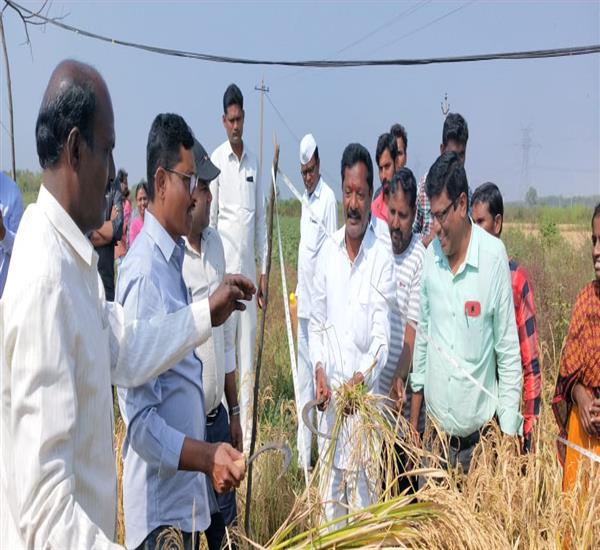 Mancherial District                                                                                                                                                                                                                                        - Crop Cutting Expts.,                                                                                                                                   - PMFBY Paddy Crop Cutting Exepets inspeted the Sub- Collector, Bellampally                                                                                                                                                                                       - dt.06/12/2019          